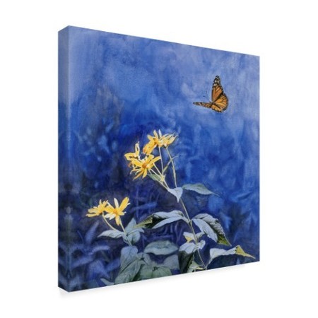 Trademark Fine Art Rusty Frentner 'Monarch Butterfly' Canvas Art, 18x18 ALI33112-C1818GG